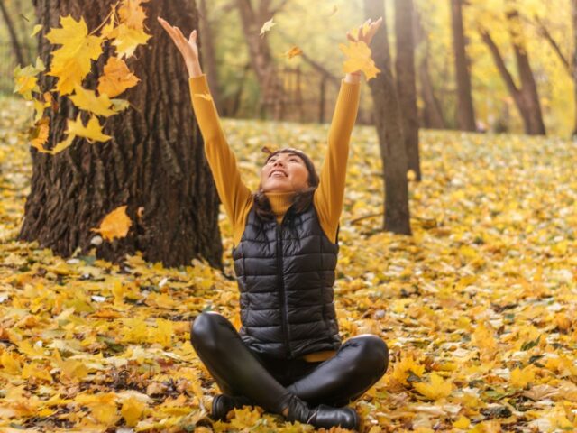 Embracing Gratitude in November